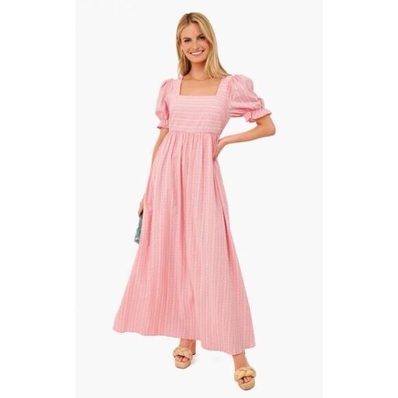 Tuckernuck Hyacinth House Pippa Pink Flower Print Stripe Maxi Dress Size Small - Picture 1 of 10